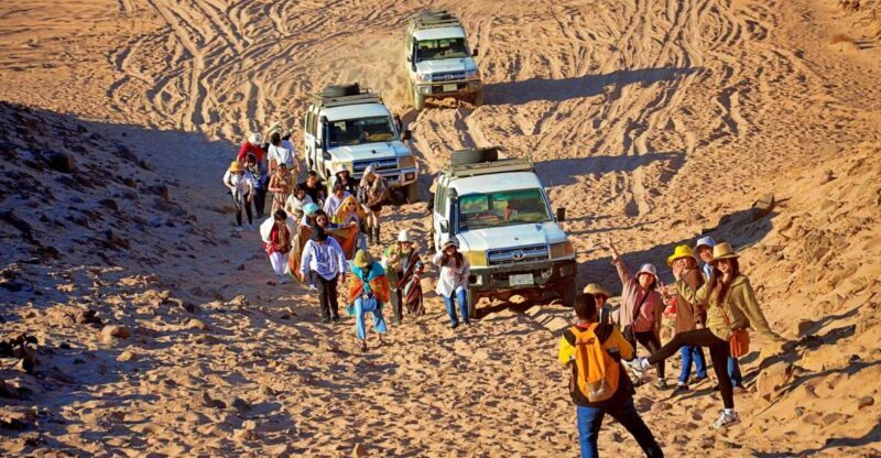 Hurghada: Safari Jeep , Camel Ride & BBQ Dinner - Who should consider this tour?
