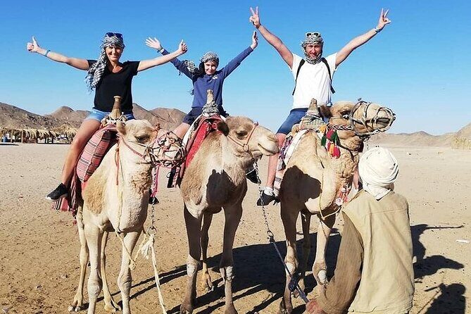 Hurghada Safari Trip Quad, Buggy, Jeep, Camel, Dinner, and Show - Key Points