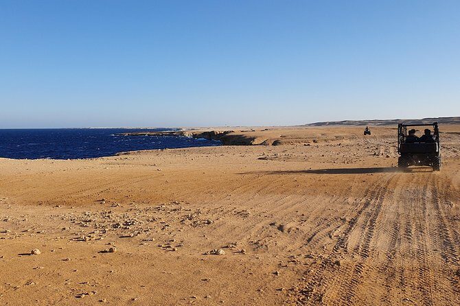 Hurghada: Sea and Mountains ATV Quad Bike Tour - Authentic Experiences and Real Opinions
