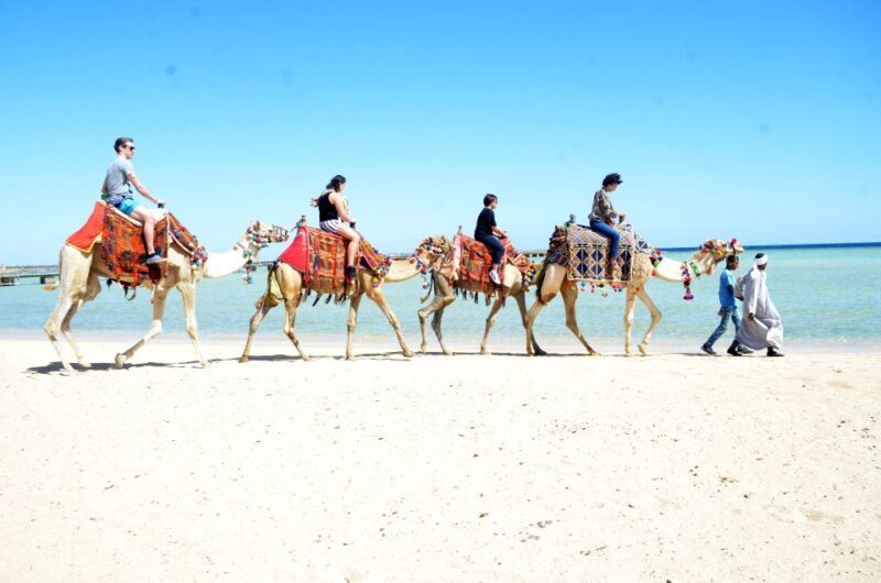 Hurghada: Sea & Desert Camel Ride w/Dinner, Show, Stargazing - The Value of This Tour