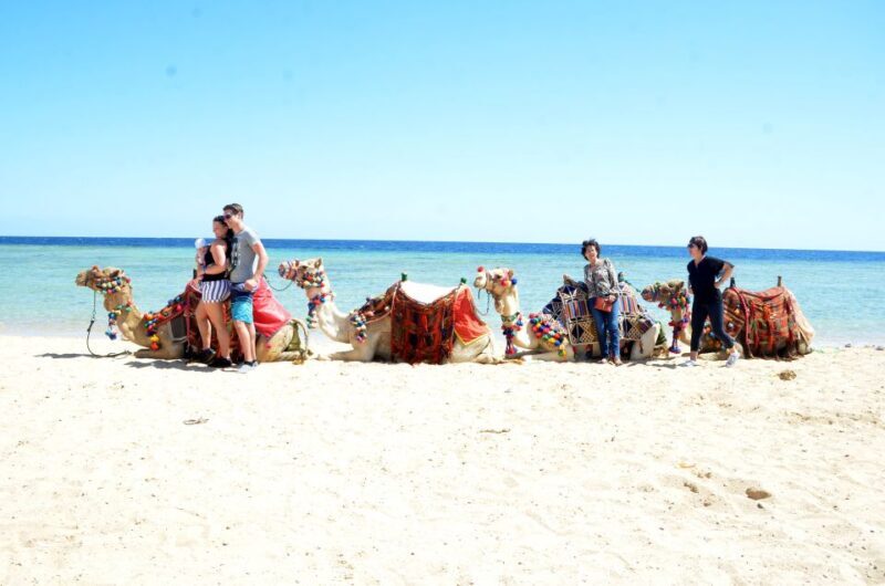 Hurghada: Sea & Desert Camel Ride w/Dinner, Show, Stargazing - Final Thoughts: Is It Worth It?