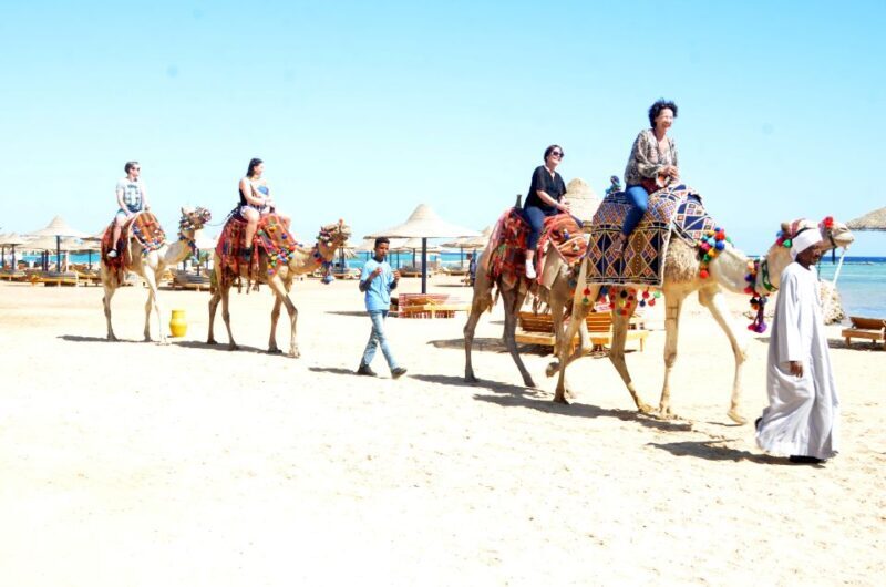 Hurghada: Sea & Desert Camel Ride w/Dinner, Show, Stargazing - FAQs