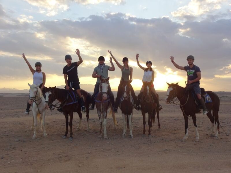 Hurghada: Sea & Desert Horse Tour, Stargazing, Dinner & Show - A Thorough Look at What to Expect