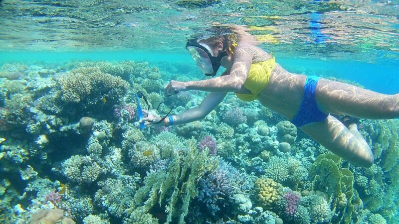Hurghada: Snorkelling Trip by Speedboat with Hotel Pickup - FAQ