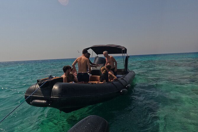 Hurghada Speedboat Dolphin Watching and Snorkeling - Authentic Experiences and Real Feedback