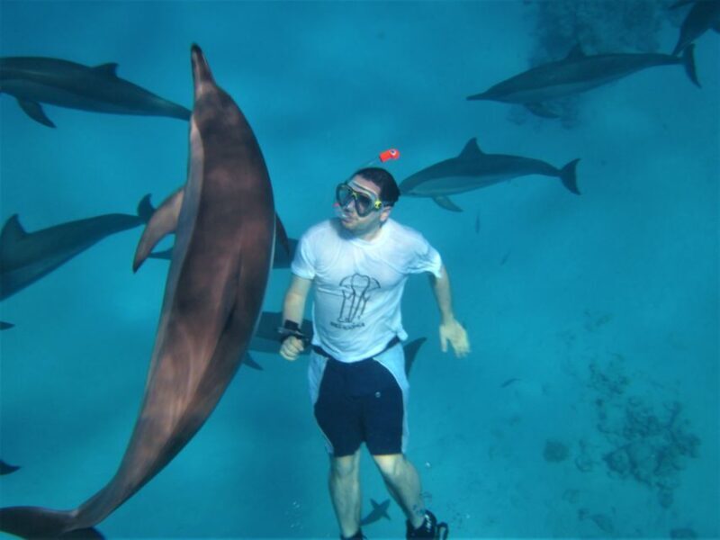 Hurghada: Speedboat Dolphin Watching & Snorkeling with Lunch - A Practical Guide to the Hurghada Speedboat Tour