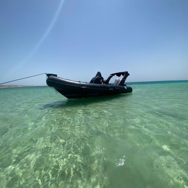 Hurghada: Speedboat Dolphin Watching & Snorkeling with Lunch - Final Thoughts