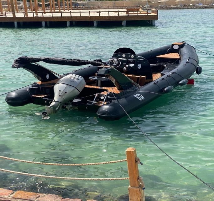 Hurghada: Speedboat Dolphin Watching & Snorkeling with Lunch - FAQ