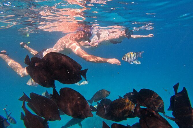 Hurghada Speedboat Trip to Orange Bay and Magawish Islands - FAQs