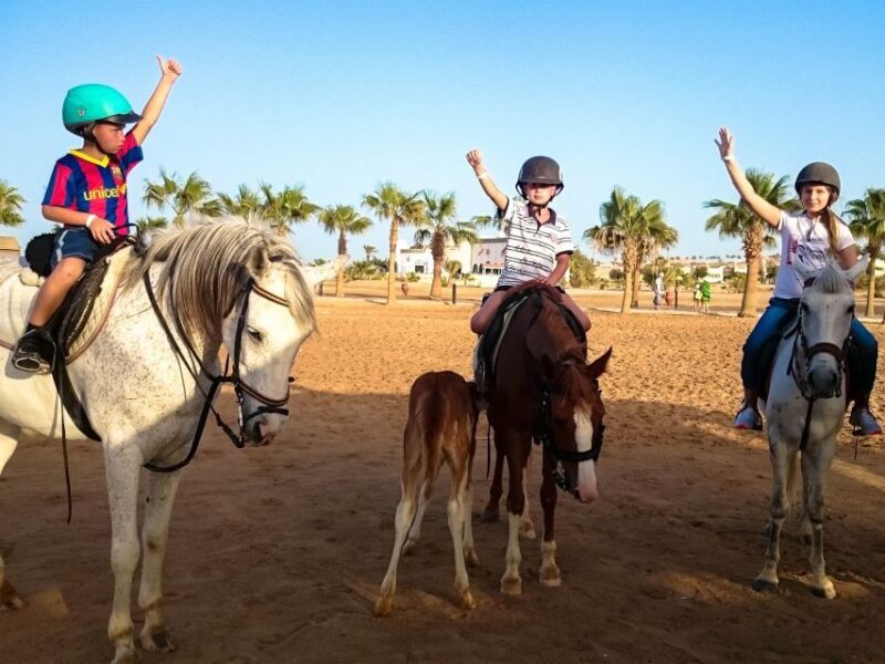 Hurghada: Sunset Sea, Desert Horse W Opt, Dinner, Stargazing - Who Is This Tour Best For?
