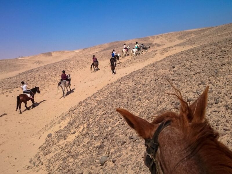 Hurghada: Sunset Sea, Desert Horse W Opt, Dinner, Stargazing - Final Thoughts
