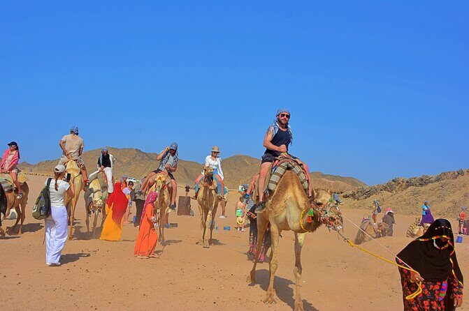 Hurghada Super Safari Quad Jeep Camel and Show with Dinner - Hurghada Super Safari Quad Jeep Camel and Show with Dinner: An Authentic Desert Adventure