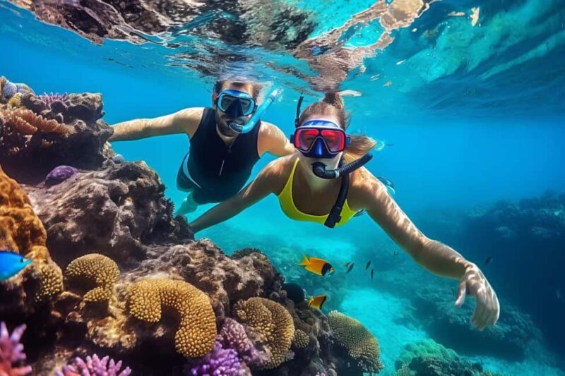 Hurghada: Yacht Trip 3 islands, Dolphin & Snorkeling W Lunch - Key Points