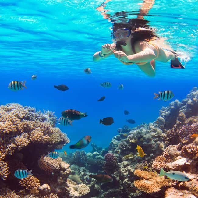 Hurghada:Luxury Diving & Snorkeling inc/Island/Lunch/Massage - What’s Included & What to Be Aware Of