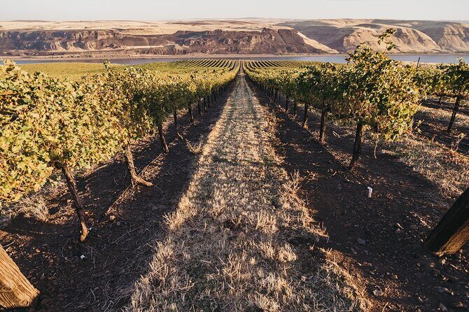 Hurray for Hollywood, Woodinville Winery Pass - An Honest Look at the Hurray for Hollywood, Woodinville Winery Pass