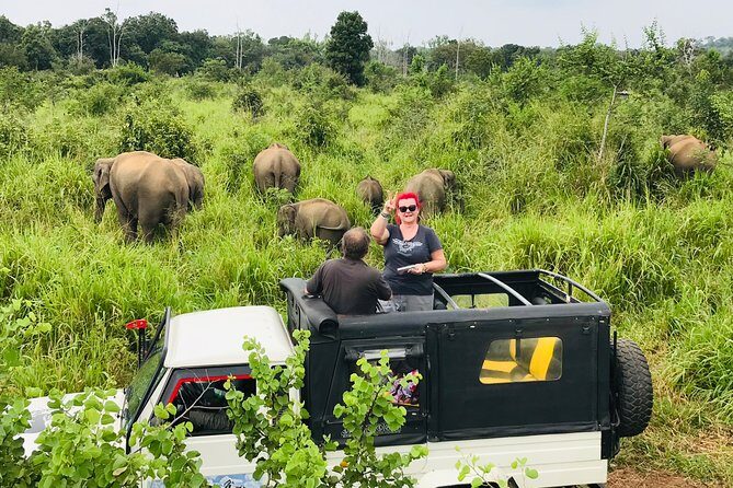 Hurulu Eco Park Half Day Safari - An Introduction to the Hurulu Eco Park Half Day Safari Experience