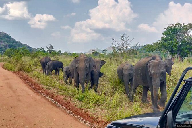 Hurulu Eco Park Private Safari - What Makes This Safari a Good Choice?