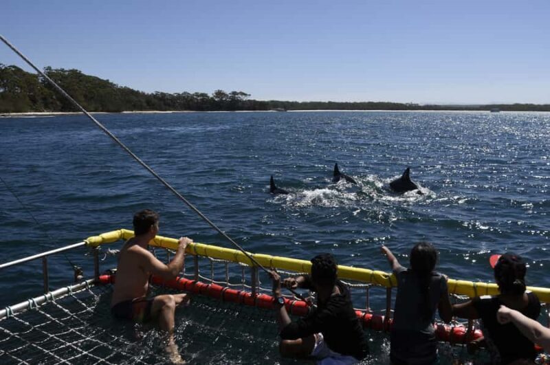 Huskisson: Dolphin Cruise & Boom Netting Experience - Key Points