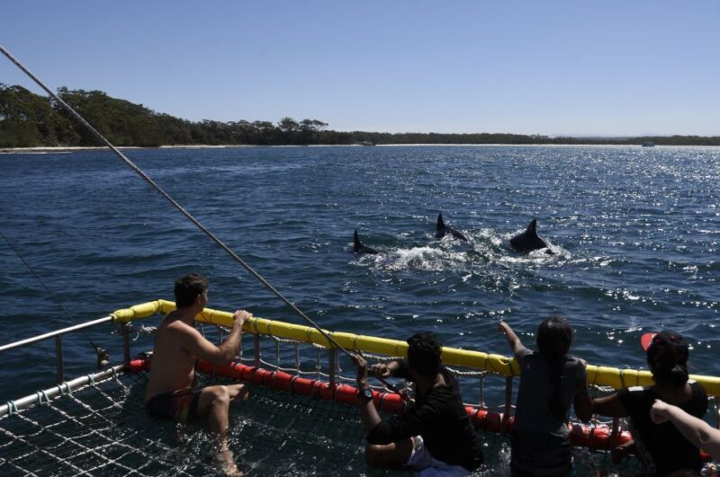 Huskisson: Dolphin Cruise & Boom Netting Experience - Final Thoughts