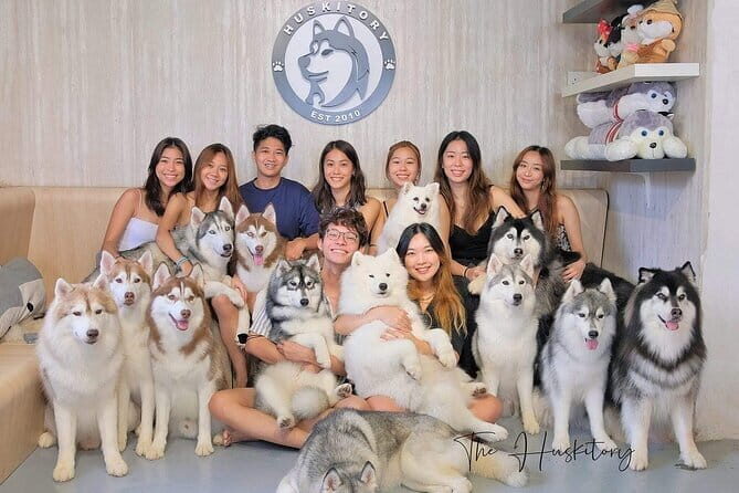 Huskitory Connecting People and Dogs - Key Points