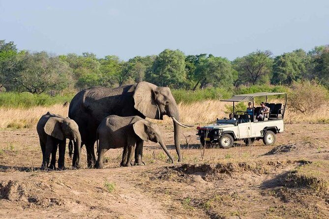 Hwange Day Trip - Final Thoughts
