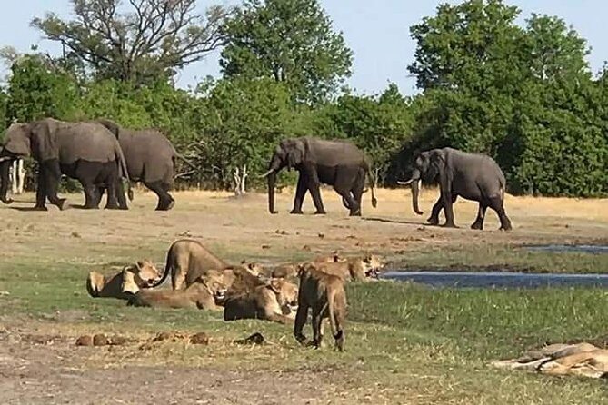 Hwange Day Trip - FAQ