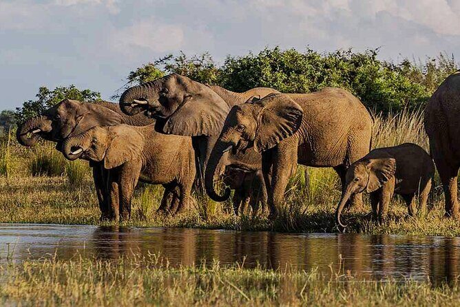 Hwange Day Trip - Why This Tour Works Well