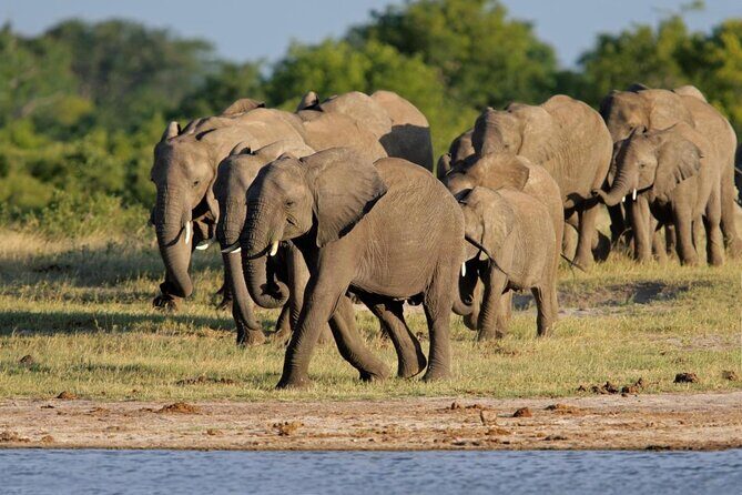 Hwange National Park 3 Days Package - Key Points
