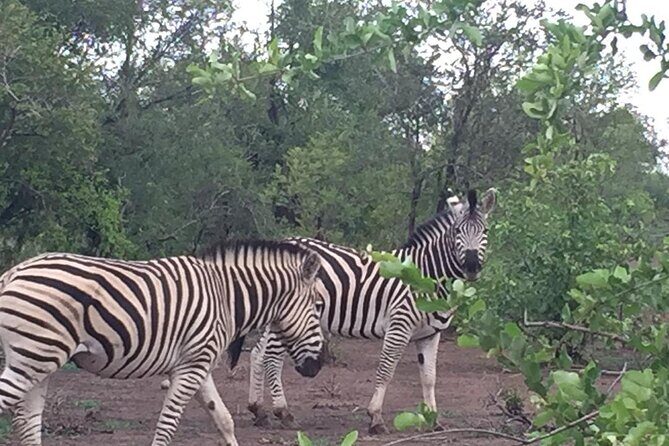 Hwange National Park 3 Days Package - FAQ