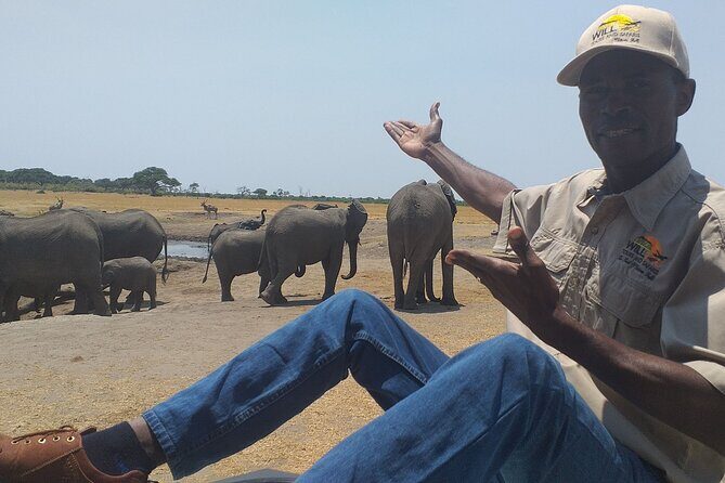 Hwange National Park Full Day Trip - An Introduction to the Hwange National Park Full-Day Safari