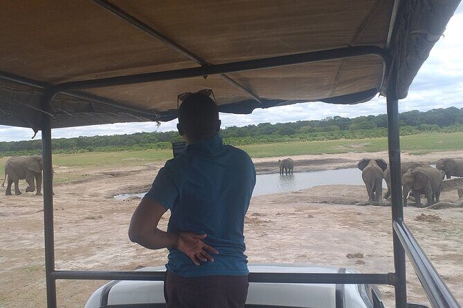 Hwange National Park Full Day Trip - What Do Travelers Say?