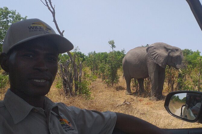 Hwange National Park Full Day Trip - Who Should Consider This Tour?