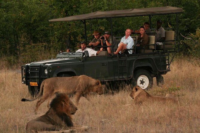 Hwange (Safari) Day Trip from Victoria Falls - Key Points