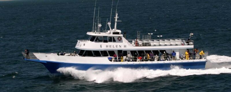 Hyannis: Luau Sunset Cruise in Hyannis Harbor - Key Points