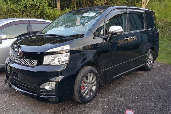 Hyatt Zilara Rose Hall Resort Private Airport Transfer - Summary: Who Should Consider This Transfer?