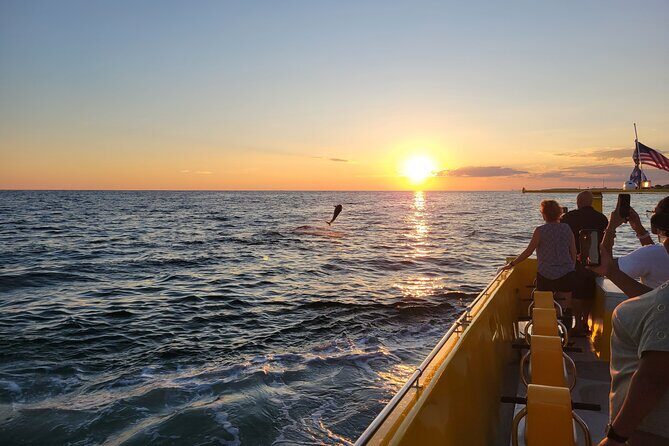 Hydro Rocket Dolphin Sightseeing Boat Tour from Destin - Final Thoughts: Is It Worth the Price?