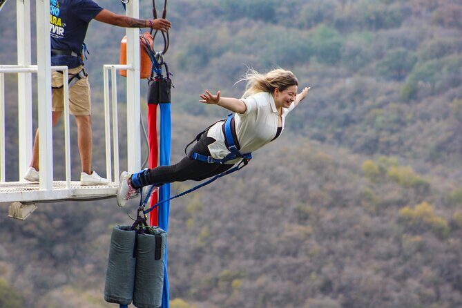 IBO Bungee en Cola de Caballo - The Value Proposition