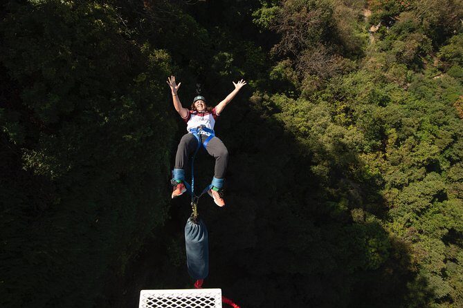 IBO Bungee en Cola de Caballo - The Sum Up