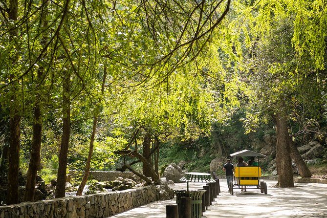 IBO Roller Zip in Cola de Caballo - An In-Depth Look at the Tour Experience