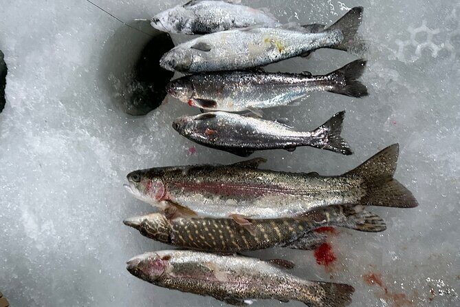 Ice Fishing in Fairbanks - Final Thoughts