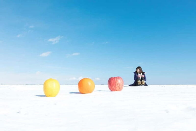 Ice Horizon Walk: Frozen Sea Adventure of Notsuke Peninsula - Key Points