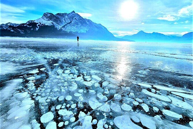 Icefields Parkway and Abraham Lake Bubbles Private Tour - Key Points
