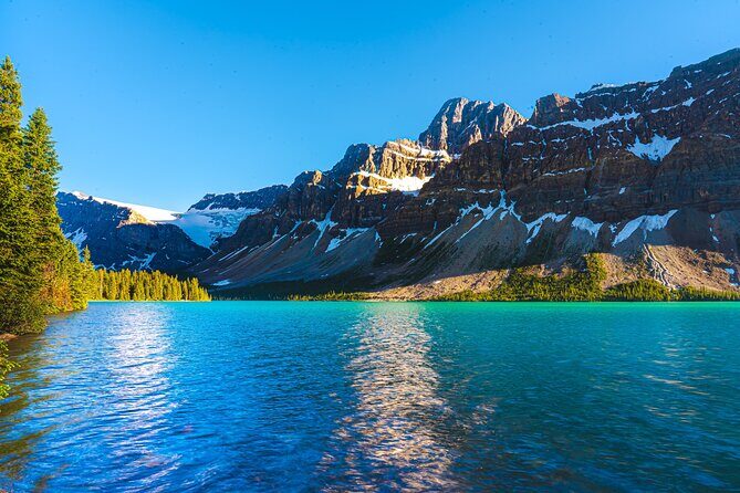 Icefields Parkway Highlights & Secrets | Award-Winning Adventure - Wildlife and Nature Encounters