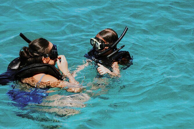 Iconic Aruba Sail and Snorkel Experience - Who Will Love This Tour?