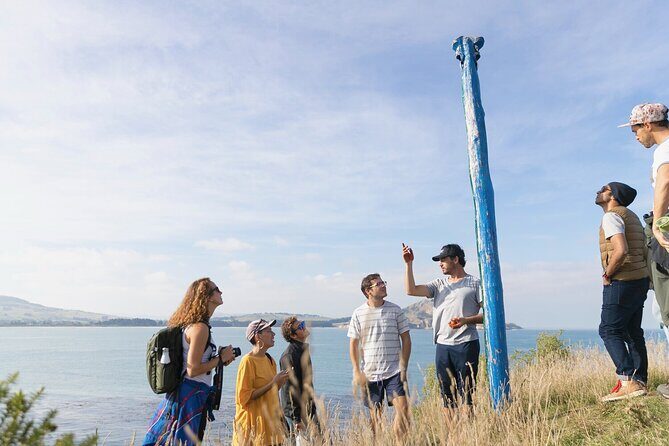 Iconic Dunedin Coastal Tour by Minibus with Maori Cultural Walk - Key Points
