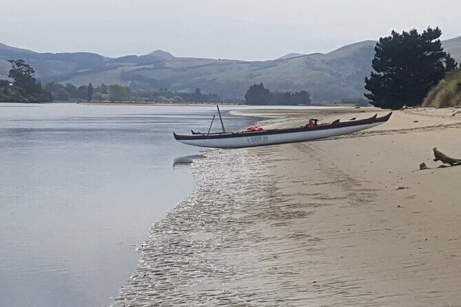 Iconic Dunedin Coastal Tour by Minibus with Maori Cultural Walk - Introduction: What’s on Offer in This Dunedin Coastal Tour?