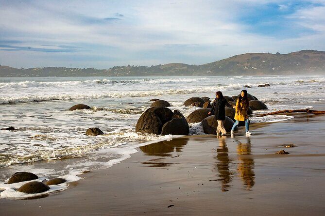 Iconic Dunedin Coastal Tour by Minibus with Maori Cultural Walk - Price and Value: Is It Worth It?