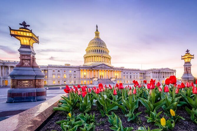 Iconic Film and Movie Locations Half Day Tour in Washington D.C. - Key Points
