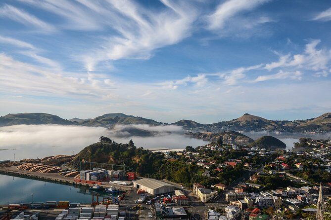 Iconic Shore Excursion: Dunedin City Highlights Tour - Signal Hill: The First Stop for Panoramic Views