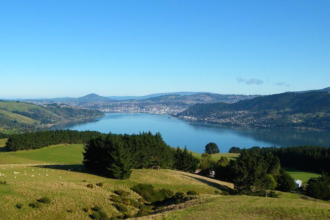 Iconic Shore Excursion: Dunedin City Highlights Tour - The Octagon: Free Time in Dunedin’s Heart
